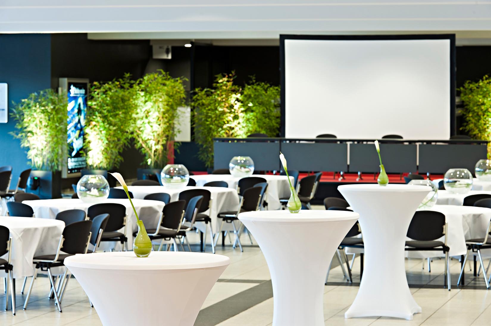 Brand launch setup